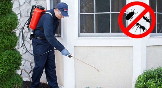 Ağrı Fare İlaçlama böcek ilaçlama ve haşere kontrolü — ilaclama-tr.com